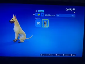 Fortnite Accounts and Characters for Sale in Muscat