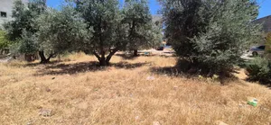 أرض سكنية مميزة للبيع في غرب عمان - بدر الجديدة - الشراب(من المالك مباشرة)