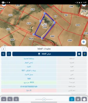للبيع قطعه ارض 9.5 دونم النقيره زميلات القراقير كافه الخدمات متوفره قرب شارع الميه