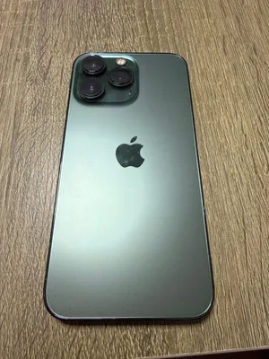 Iphone13 pro 256g