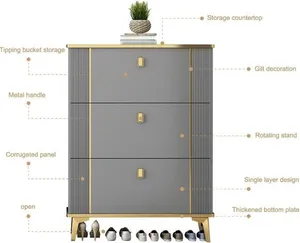 Modern Luxury Shoe Cabinet –