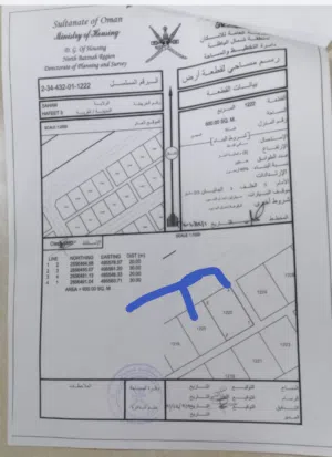 ارضين سكنيات شبك