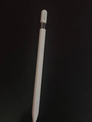 قلم ابل الأصلي Apple Pencil USB-C مستعمل نظيف