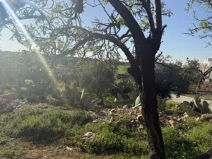 ارض في حسبان مقابل كلية القياده والأركان للبيع