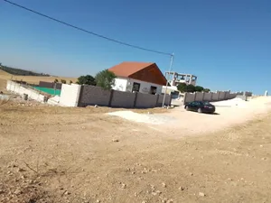 3 Bedrooms Farms for Sale in Ramtha Romtha