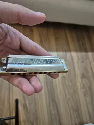 new harmonica by (hohner)