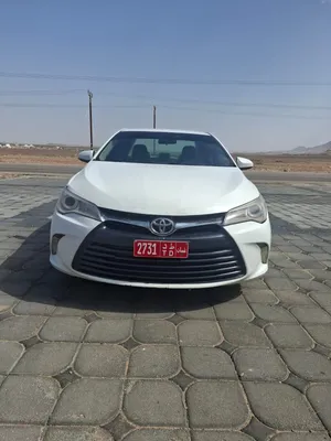 شركة تأجير للليع