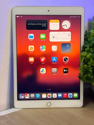 Apple iPad 8 128 GB in Al Dakhiliya