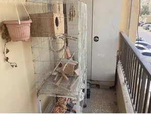 Big cage for sale with accessories