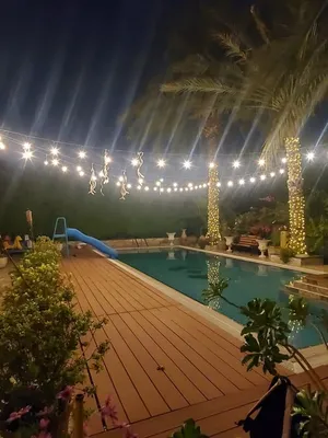 Outdoor Garden lights