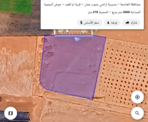 للبيع قطعه ارض 5 دونم  شارعين ام العمد طريق المطار حوض النجميه مميزه