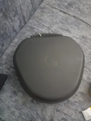 Air pods max