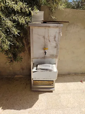ثلاجة لبن مخيض