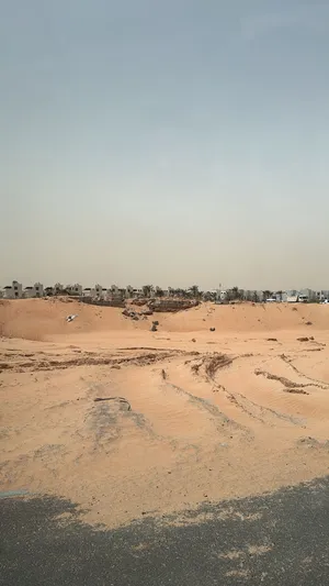 أرض الزاهية 1 عجمان للبيع