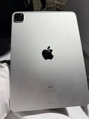 Apple iPad Pro 512 GB in Muscat