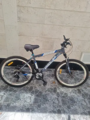 الموقع المالكيه