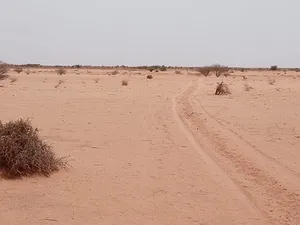 Farm Land for Sale in Khartoum Omdurman