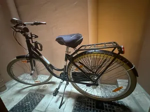 Royal Dutch Black 360 Bicycle