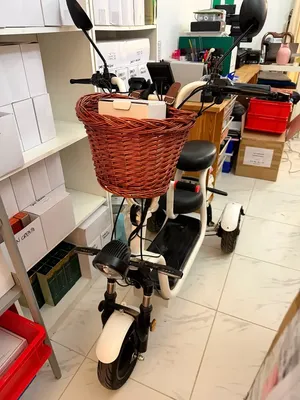 Electric Bike