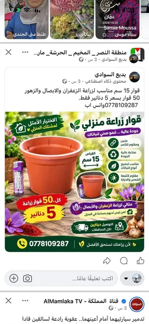 اصيص زراعه 15 سم مناسب للابصال