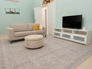 Large Area Rug 290 × 396 cm – AED 400
