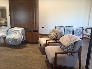 Luxury furnished Apartment For Rent In Abdoun