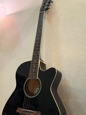 guitar acoustic electric CARLO