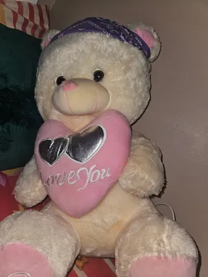 teddy bear for sale