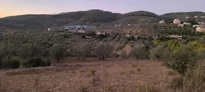 ارض عقارية صالحة للبناء