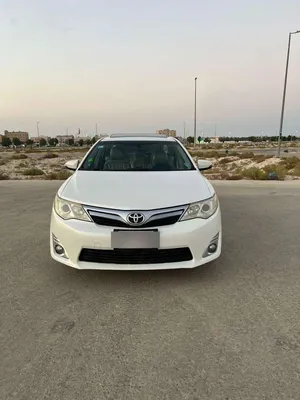 معرض السعدي