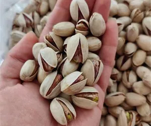 Premium Pistachios for Sale – Wholesale & Retail