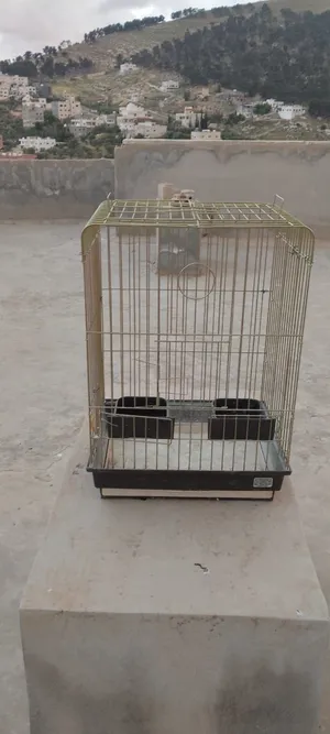 قفص ببغاء مرتب