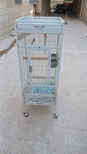 قفص طيور نظيف جدا