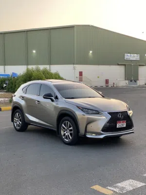 Used Lexus NX in Sharjah