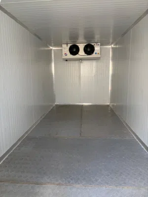 Brand New Chiller - Mobile Conatiner 2022