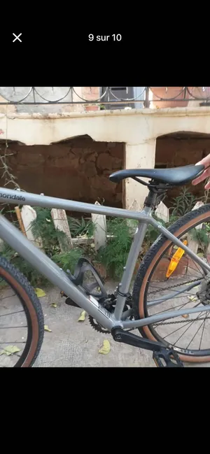 Vélo de course français fourche carbon