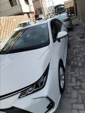 كورله شركه ساز مديل 24 كارتون