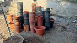 قواوير مستعملة مرة واحدة احجام مختلفة بسعر موّحد