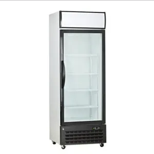 Commercial Upright Glass-Door Freezer – Lamb Weston / Uğur