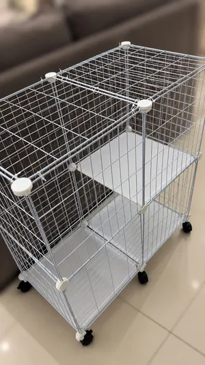 اغراض قطة كاملة للبيع