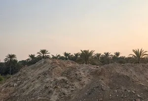 تربة شبه زراعية المعبيلة الشمالية