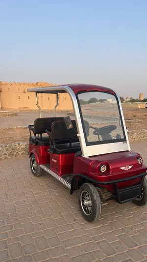 electric golf cart buggy 60V