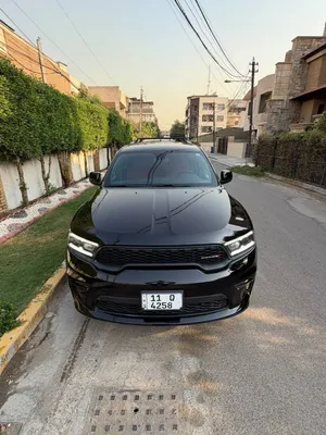 دورنكو 2025 البيع