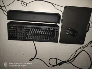razer 3 item's