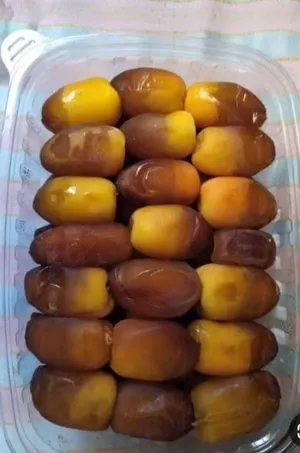 تمور الفاخر اصل التمور فى مصر