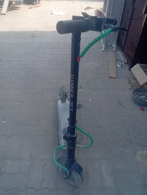 Winner sky electric scooter