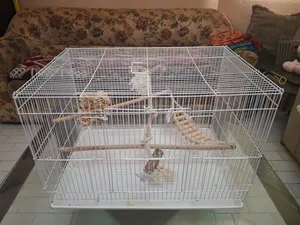 Large cage for all types of parrots