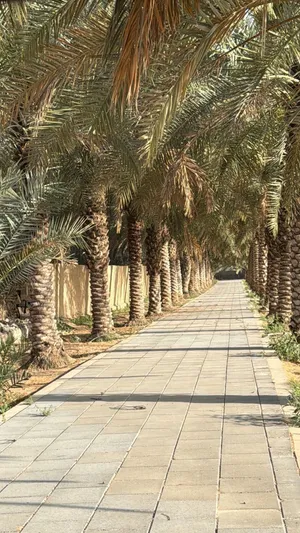 1 Bedroom Farms for Sale in Sharjah Other