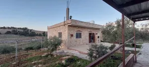 Farm Land for Sale in Jerash Unaybah