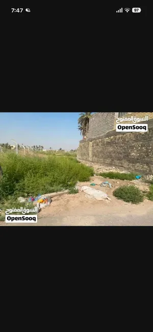 farm-land-for-sale-in-baghdad-hor-rajab
